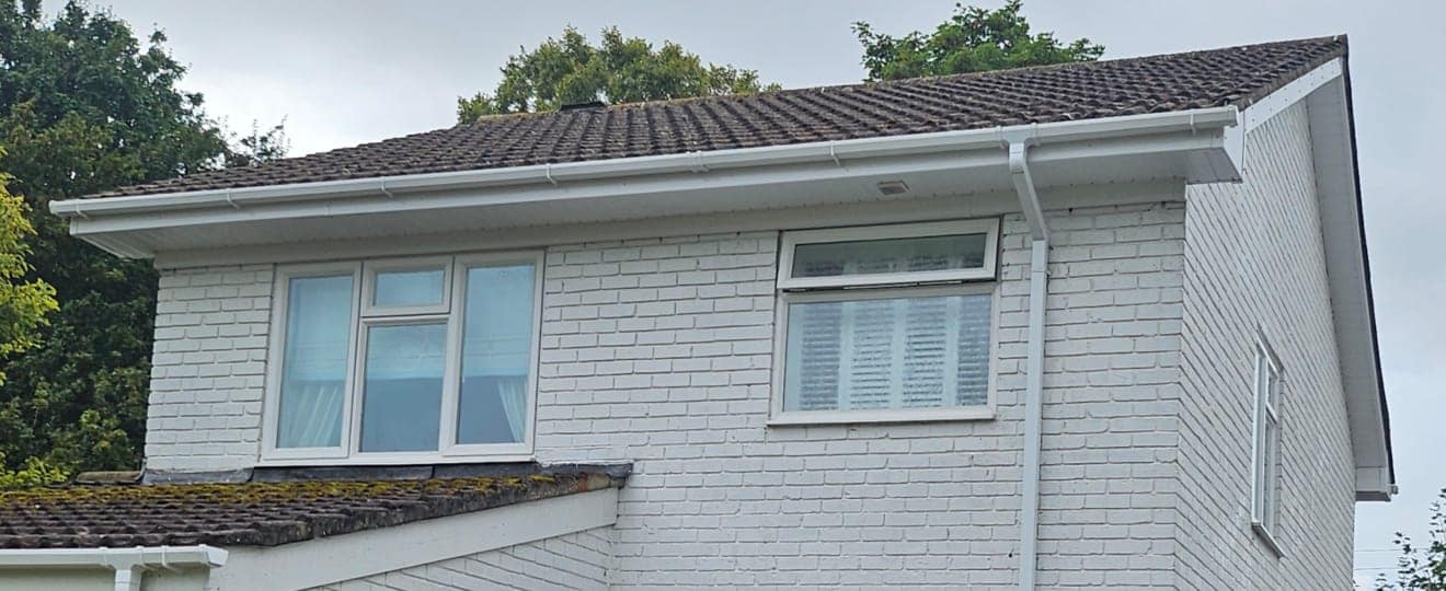 gutter cleaning