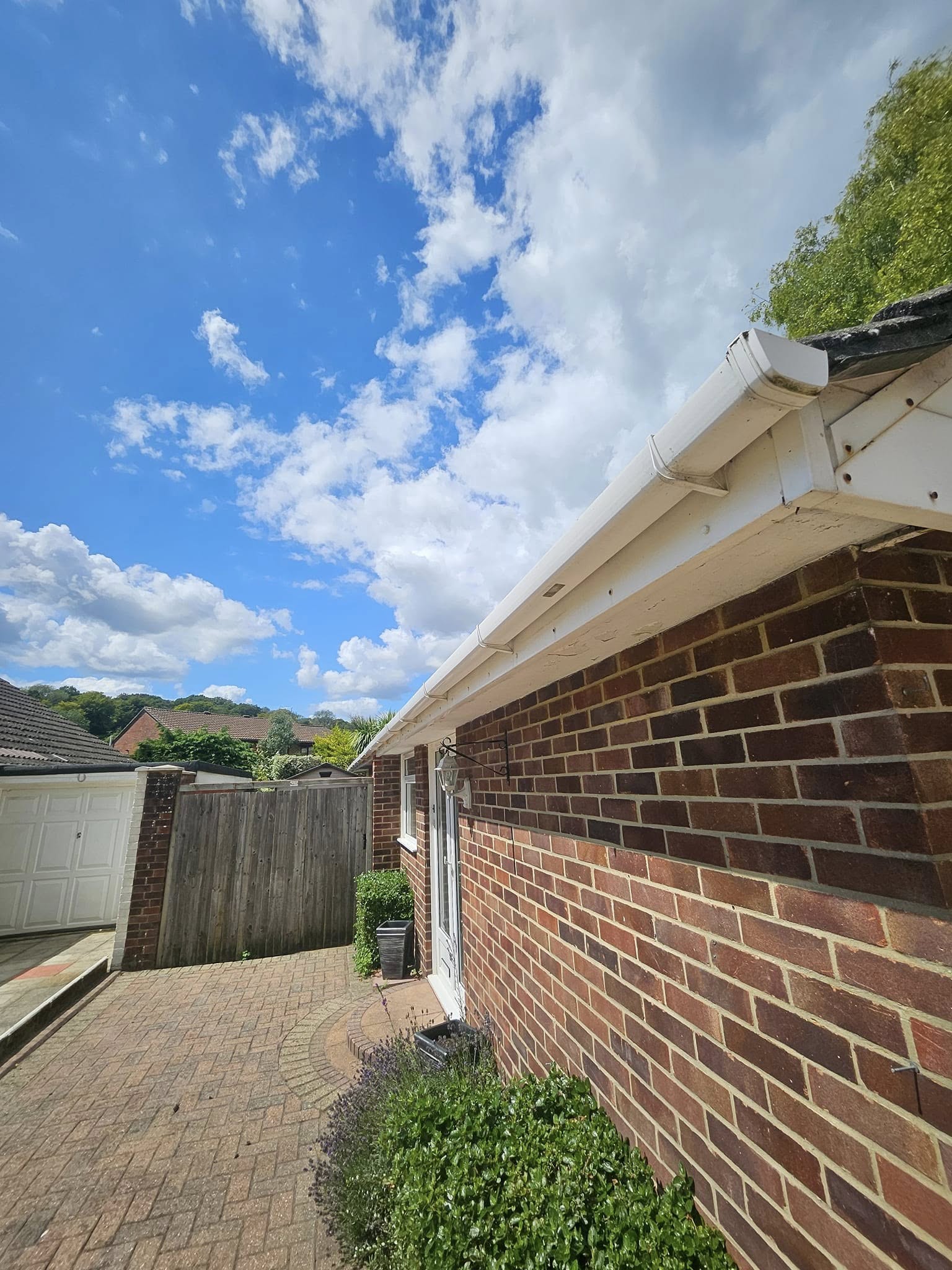 gutter cleaning